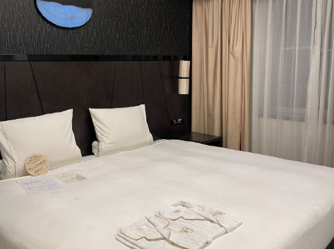 東京羽田皇家花園酒店優惠