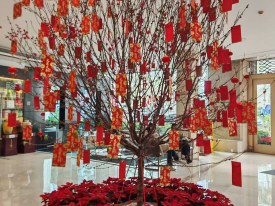 珠海拱北口岸嘉麗城景酒店優惠