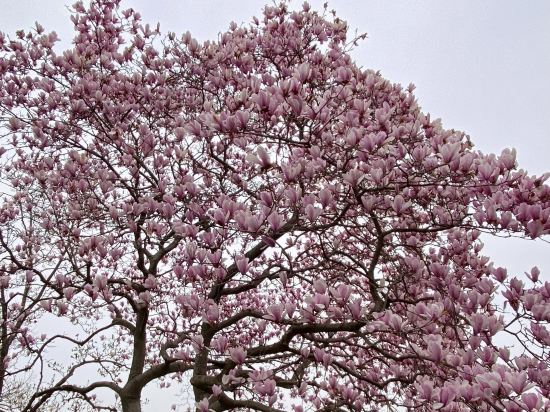 杭州西湖國賓館·西湖第一名園優惠
