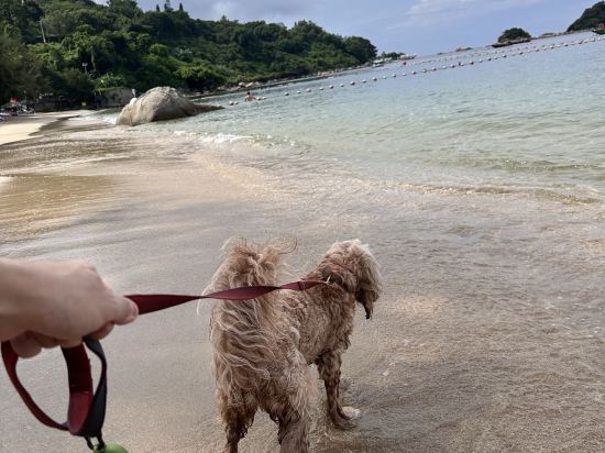 深圳INNOBAY楹諾·小半灣民宿優惠