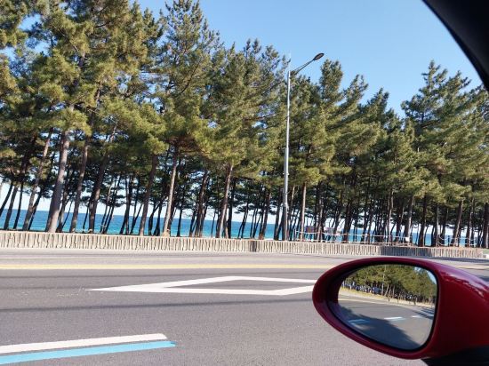 Gangneung Good day Poolvilla 쿠폰