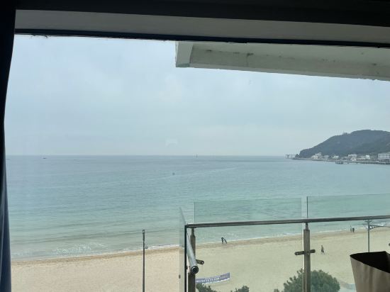 Busan Songjeong Sloth 쿠폰