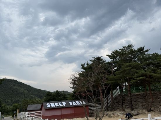 켄싱턴리조트 설악밸리 쿠폰