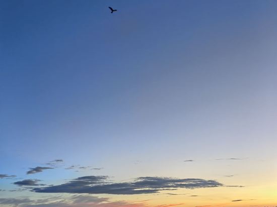 ホテル＆リゾーツ和歌山串本 クーポン