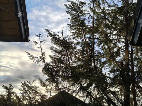 南投清境空中花園優惠