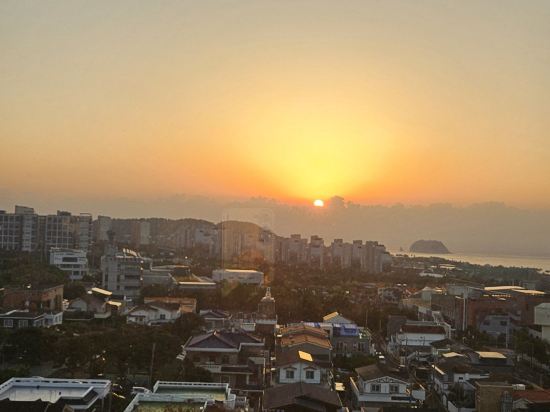 타마라 제주 쿠폰