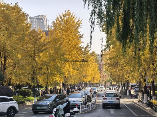 杭州維景國際大酒店優惠