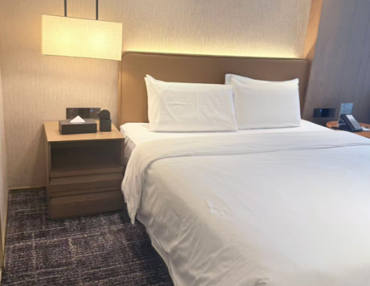 宜致酒店（廣州珠江新城崗頂地鐵站店）優惠