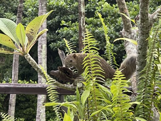 墾丁凱撒大飯店優惠