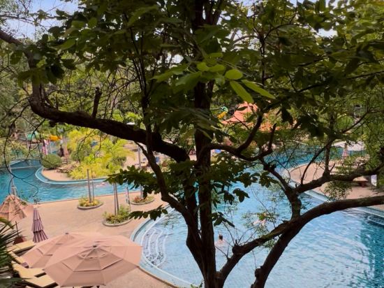 綠色公園度假村優惠