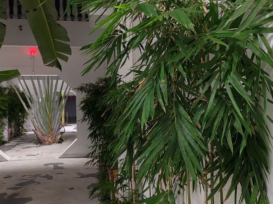 蕉葉民宿（三亞免税城店）優惠