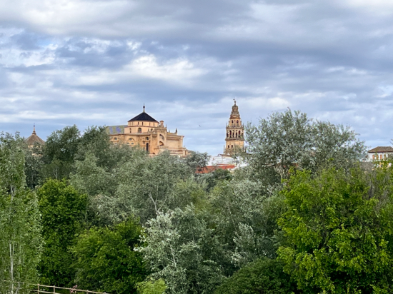 里亞德阿魯扎法酒店優惠