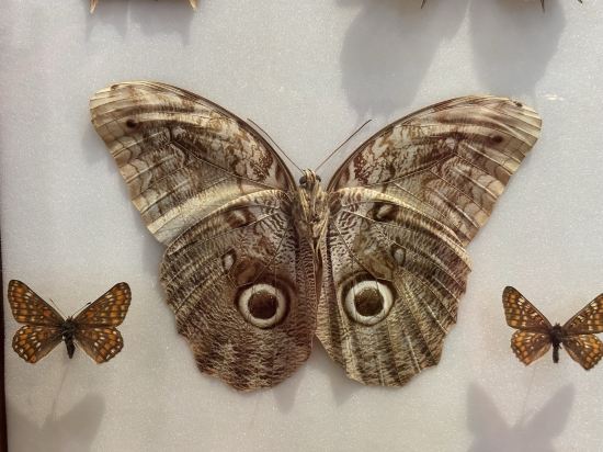 格拉斯哥市中心希爾頓歡朋酒店優惠