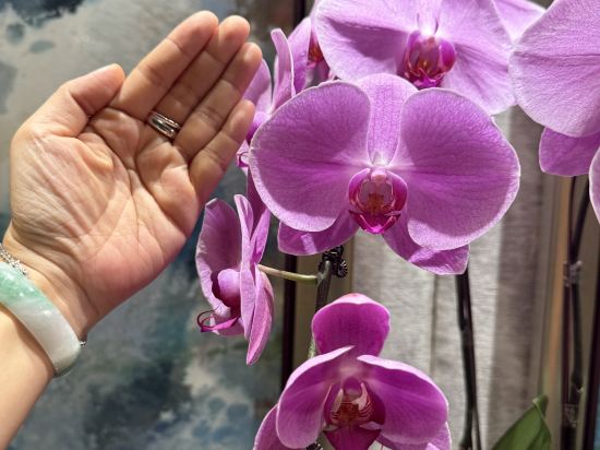 新加坡香格里拉大酒店（Staycation Approved）優惠