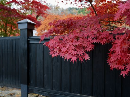 羽田エクセルホテル東急 クーポン