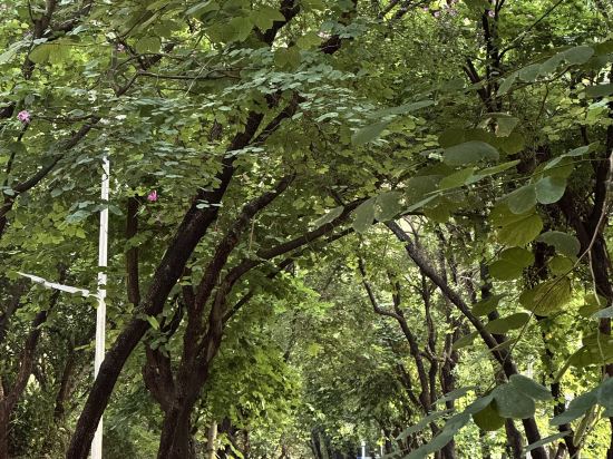 XW Hotel 璽程設計酒店（深圳華僑城創意園店）優惠