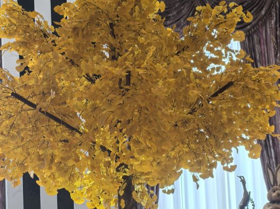 韶關碧桂園太陽城酒店（高鐵站店）優惠