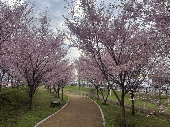 北海道函館北斗柔婕閣酒店優惠