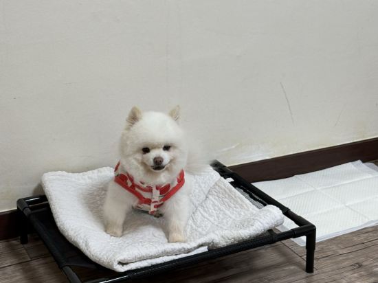 이코노미호텔 목포 쿠폰