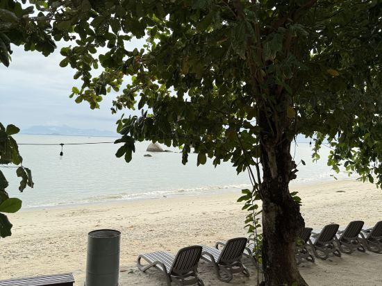 檳城美居酒店 （檳城對抗新冠肺炎認證）優惠