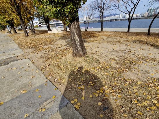 麻浦新羅舒泰飯店 （弘大）優惠