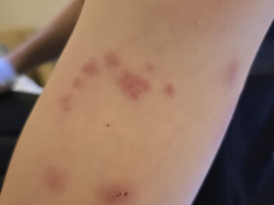 多倫多萬錦麗柏酒店優惠