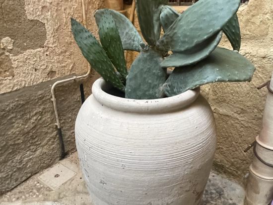 南卡美拉酒店優惠