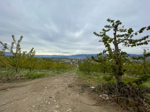 The Cove Lakeside Resort In der Nähe des Hotels Photos