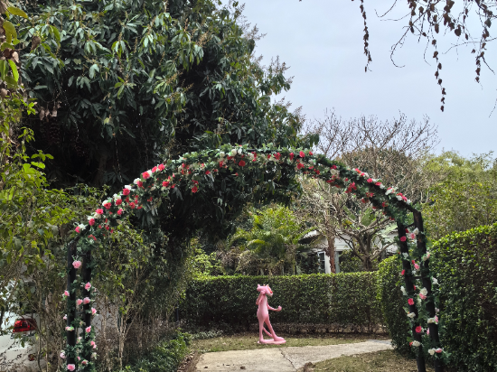 清遠新景泉温泉度假區優惠