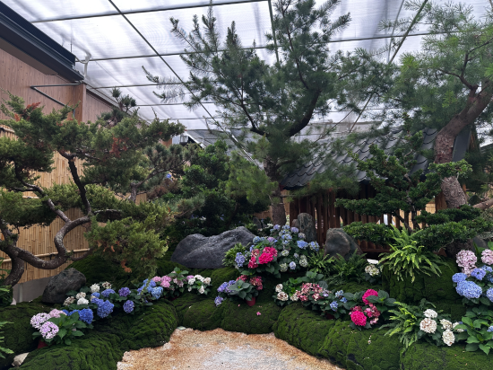 苗栗花露民宿優惠