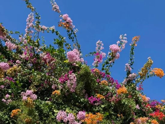 泉州市鯉好吖民宿優惠