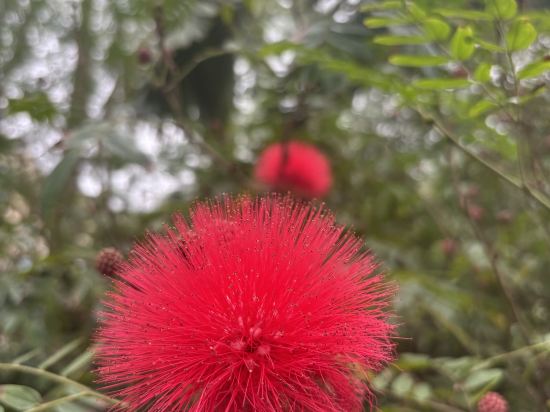 海口香格里拉酒店優惠