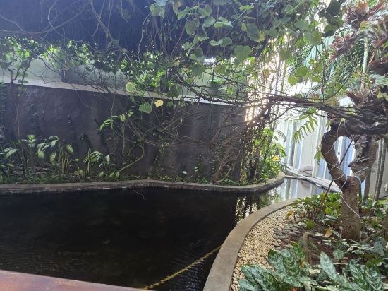 金巴蘭海灘福克斯哈里斯酒店優惠