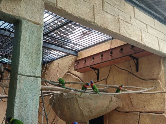 馬六甲松閑酒店優惠