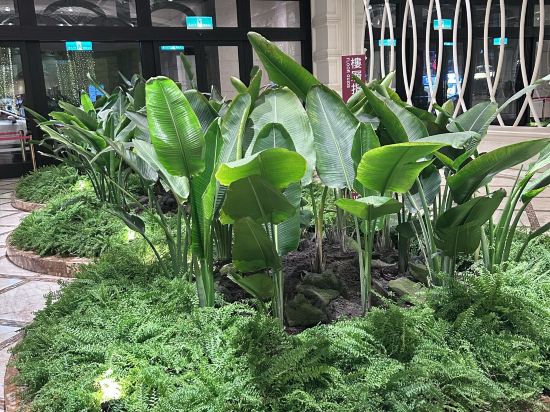 臺中林酒店優惠