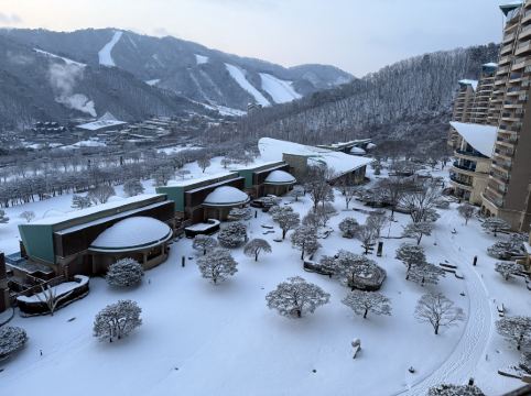 소노펠리체 비발디파크 쿠폰