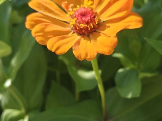 多倫吉嘉賓館優惠