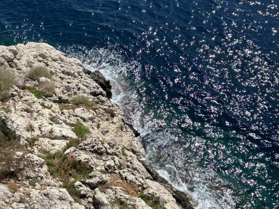 假日度假尼斯酒店優惠