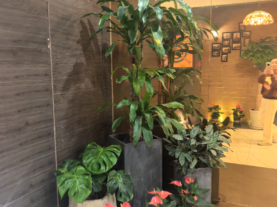 錦江之星品尚（上海南京路步行街店）優惠