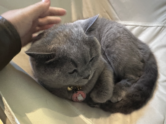 成都茉莉國際青年旅舍（春熙路太古裡店）優惠