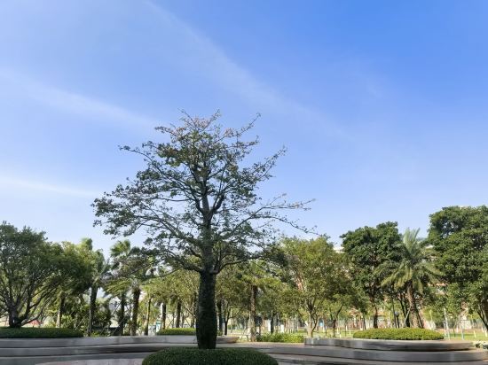 珠海青竹書院酒店優惠