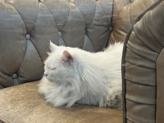 深圳定軍山有戲電影飯店（西鄉寶田一路地鐵站店）優惠