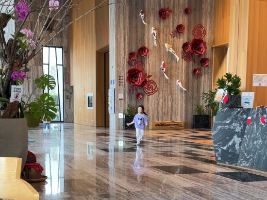 嘉義南院旅墅優惠