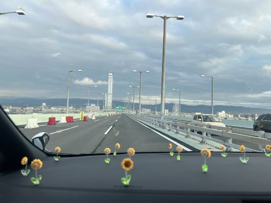 神戸みなと温泉 蓮 - 大人限定 クーポン