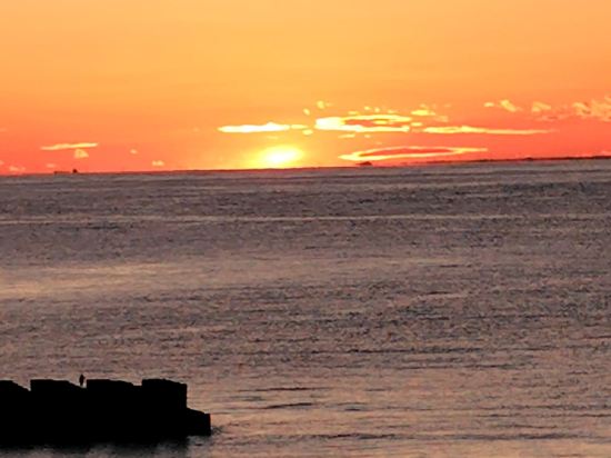 土肥ふじやホテル クーポン