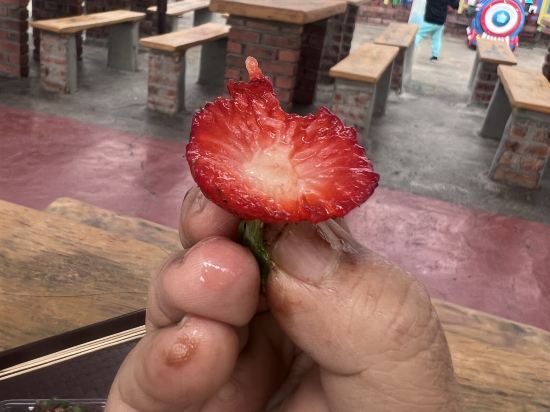 帝沙酒店優惠