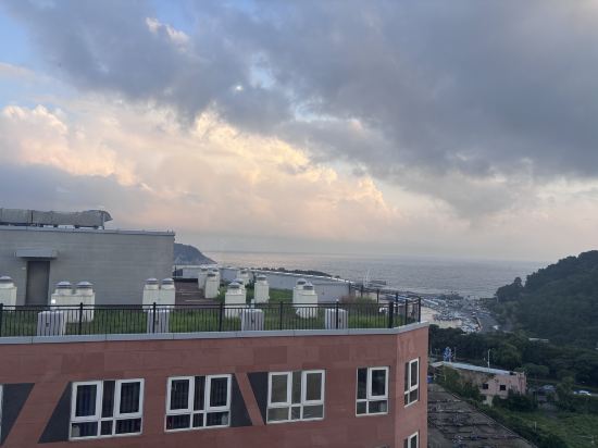 오션팰리스 호텔 쿠폰