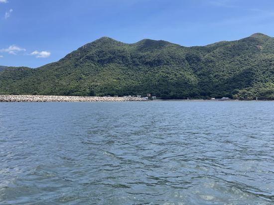 香港大澳文物酒店優惠