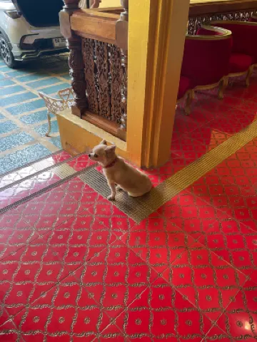 Nakaraj Princess Chiang Rai - Walking Street Общественные зоны Photos