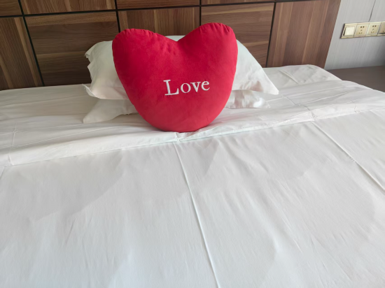 三亞華麗嘉旅業（大東海旅遊區店）優惠